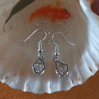 Teardrop Shape with Crystal Earrings