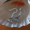Triangle Shape with Crystal Earrings