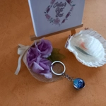 Illumminous Zodiac Keyring - Pisces