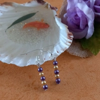 Purple and Gold Earrings