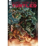 TMNT #76 KOTKIN EXCLUSIVE