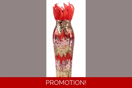 Blazing Fire Blazing Fire