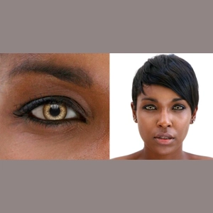 Contacts Brown