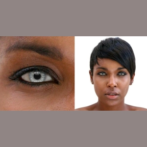 Contacts Gray