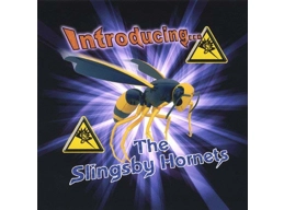 Introducing The Fantastic Sounds Of...