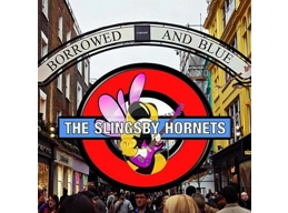 The Complete Slingsby Hornets