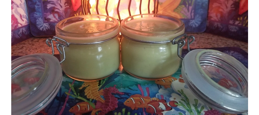 Love Potion Lotion  (Topical)-$40.00 (4 0z.)