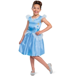 Cinderella Costume