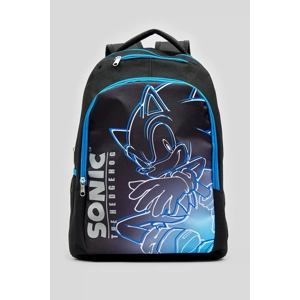 The Hedgehog Backback