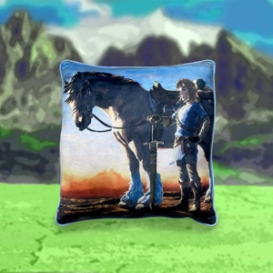 Breath of the Wild Cushion