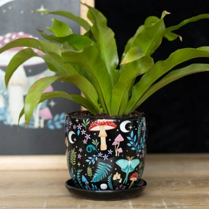 Plant Pot with Saucer