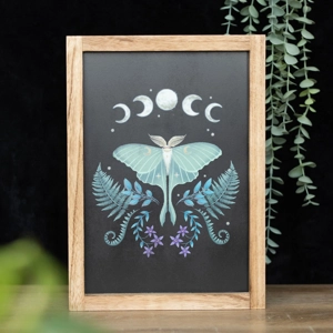 Luna Moth Framed Art