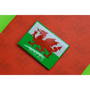 Dragon Flag Pin Badge