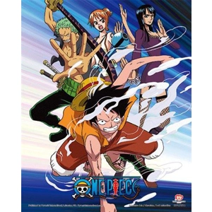 Straw Hat Crew 3D Poster