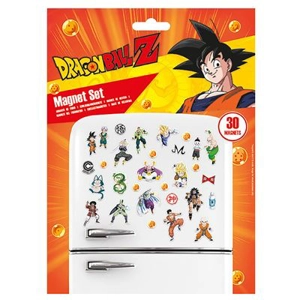Fighters Magnet Set