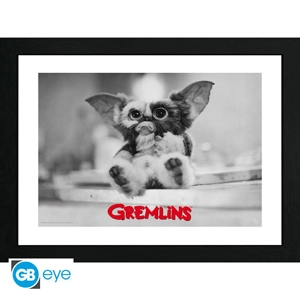 Gizmo Framed Print