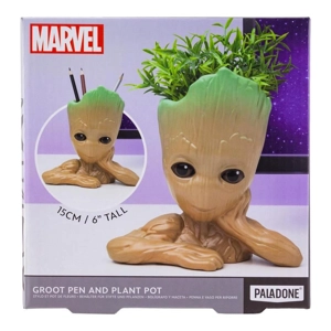 Groot Pot