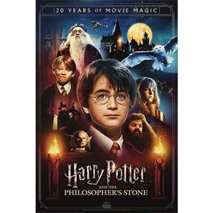 20th Anniversary Maxi Poster