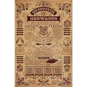 Quidditch Maxi Poster