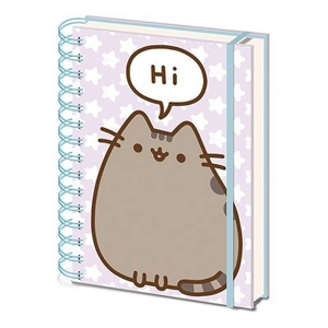 Hi Notebook