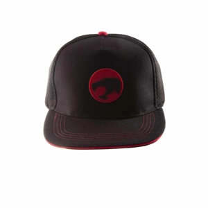 Badge Snapback Cap