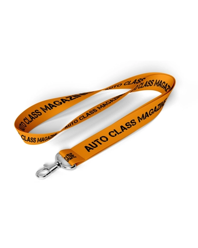 Lanyard