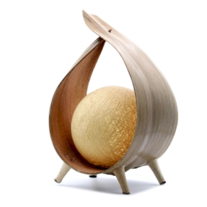 Coconut Lamps