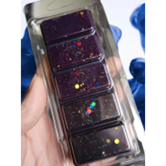 Mystery 10 bar random box - to clear