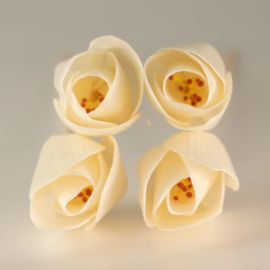 Natural Diffuser Flowers â€“ Tulip on Reed