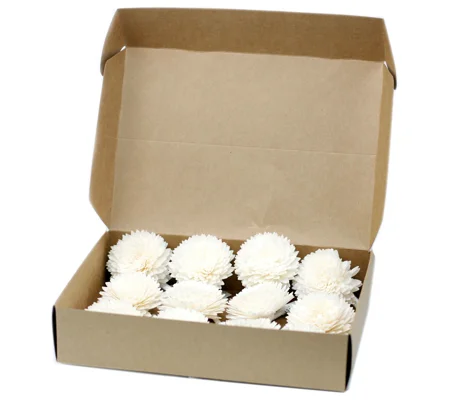 Natural Diffuser Flowers â€“ Large Carnation on String