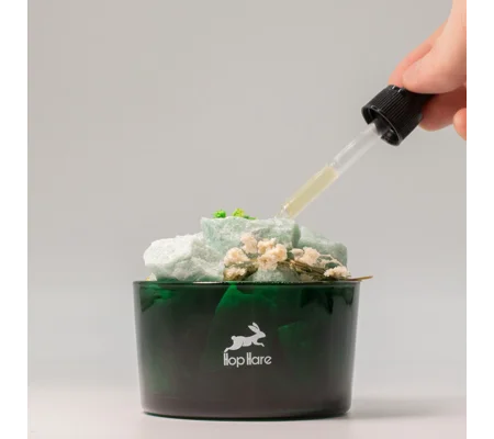 Hop Hare Diffusing Crystals & Floral Set - The Magician