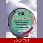 Santa's List - Christmas Wax Melt Selection