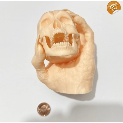 Skull in Hand Cream Colour Made in the uk