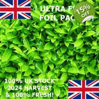 50 x cherry laurel hedging/tree seeds freshly harvested Ev..