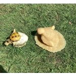 Rubber Latex Mould Small Hatching Turtle Egg Mold Rubber Latex Mould Small Hatching Turtle Egg Mold