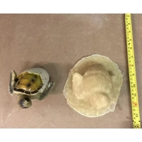 Rubber Latex Mould Small Hatching Turtle Egg Mold