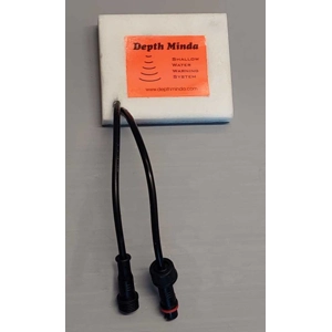 Depth Minda