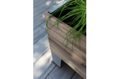 1/2 Cult by Tradewinds