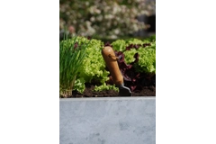 1/2 Cult by Tradewinds