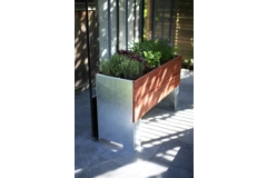 1/2 Cult by Tradewinds