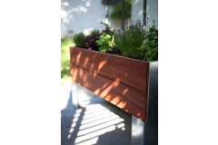 1/2 Cult by Tradewinds