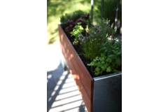 1/2 Cult by Tradewinds