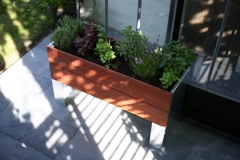 1/2 Cult by Tradewinds