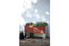 1/2 Cult by Tradewinds