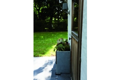 1/2 Cult by Tradewinds