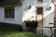 1/2 Cult by Tradewinds