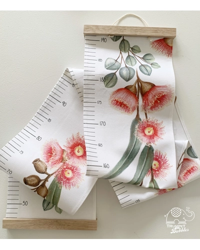 Height Chart - Flowering Gum