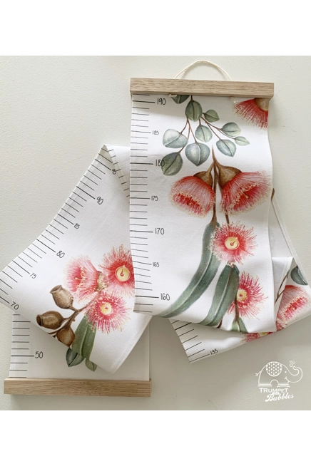 Height Chart - Flowering Gum