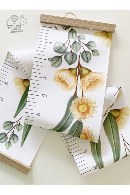 Height Chart - Yellow Flowering Gum