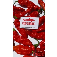 Red Shark F7 (10+ Seeds)